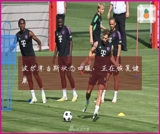 波尔津吉斯状态回暖，正在恢复健康