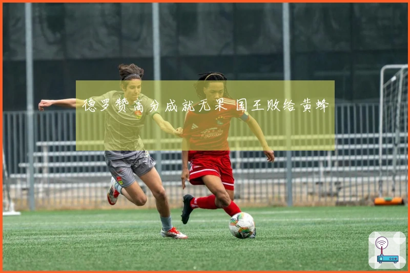 德罗赞高分成就无果 国王败给黄蜂