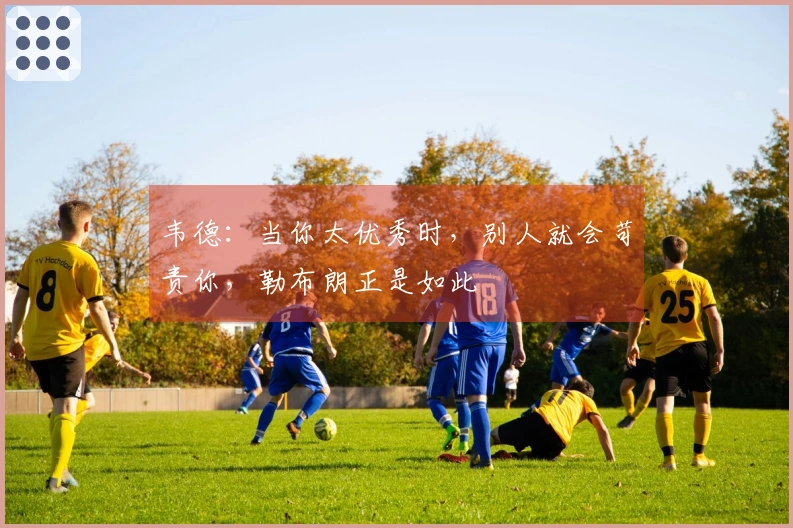 韦德：当你太优秀时，别人就会苛责你，勒布朗正是如此