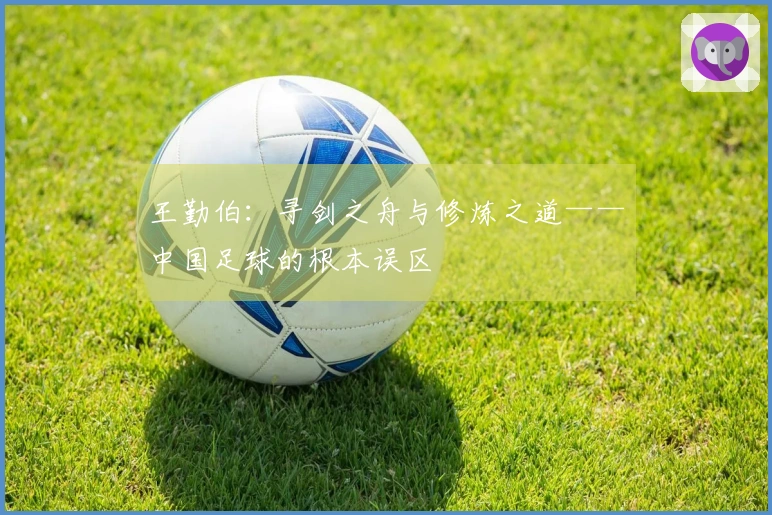 王勤伯：寻剑之舟与修炼之道——中国足球的根本误区