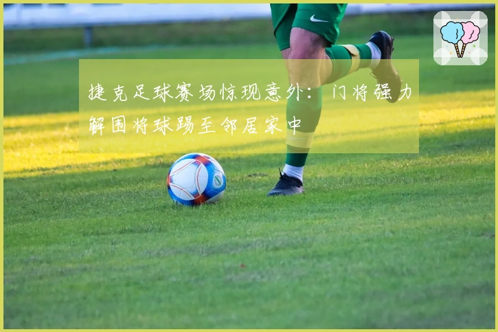 捷克足球赛场惊现意外：门将强力解围将球踢至邻居家中