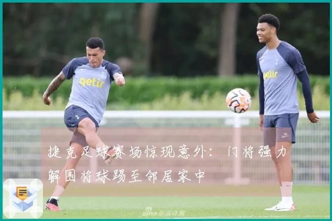 捷克足球赛场惊现意外：门将强力解围将球踢至邻居家中